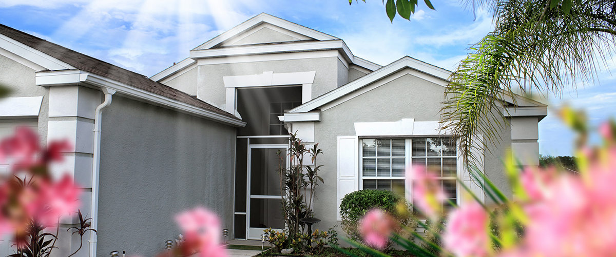 Punta Gorda Area Info